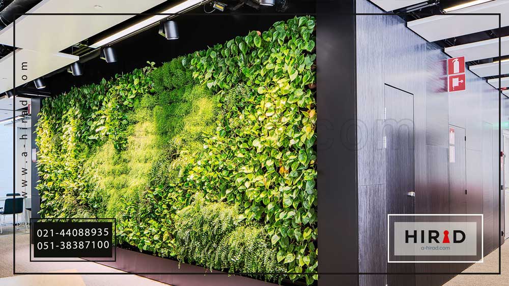 تصویر پیش&zwnj;فرض