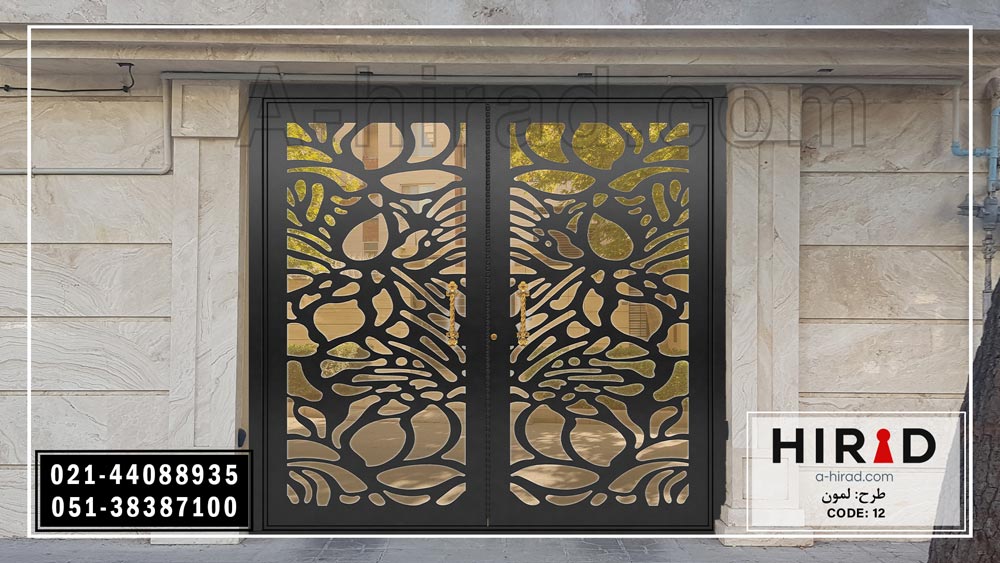 درب دولنگه لیزری