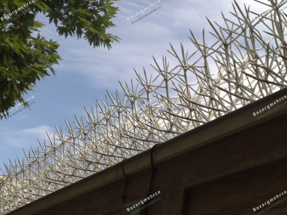 حفاظ بوته ای یا حفاظ خاری با رنگ سفید نصب شده بر روی دیوار 